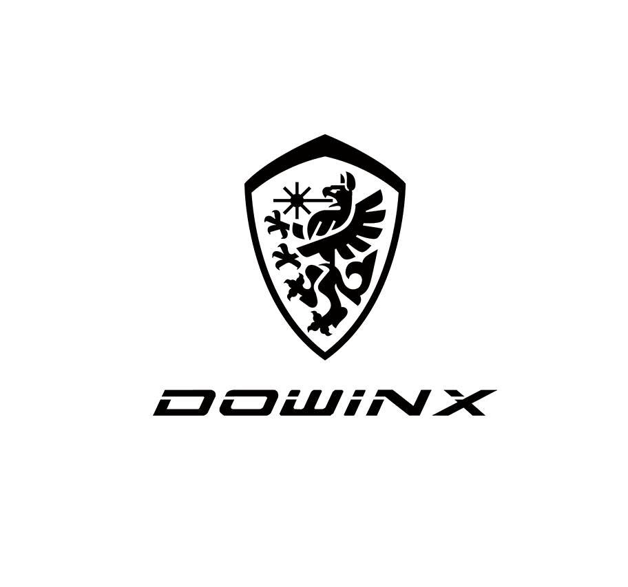 Dowinx Coupons and Promo Code